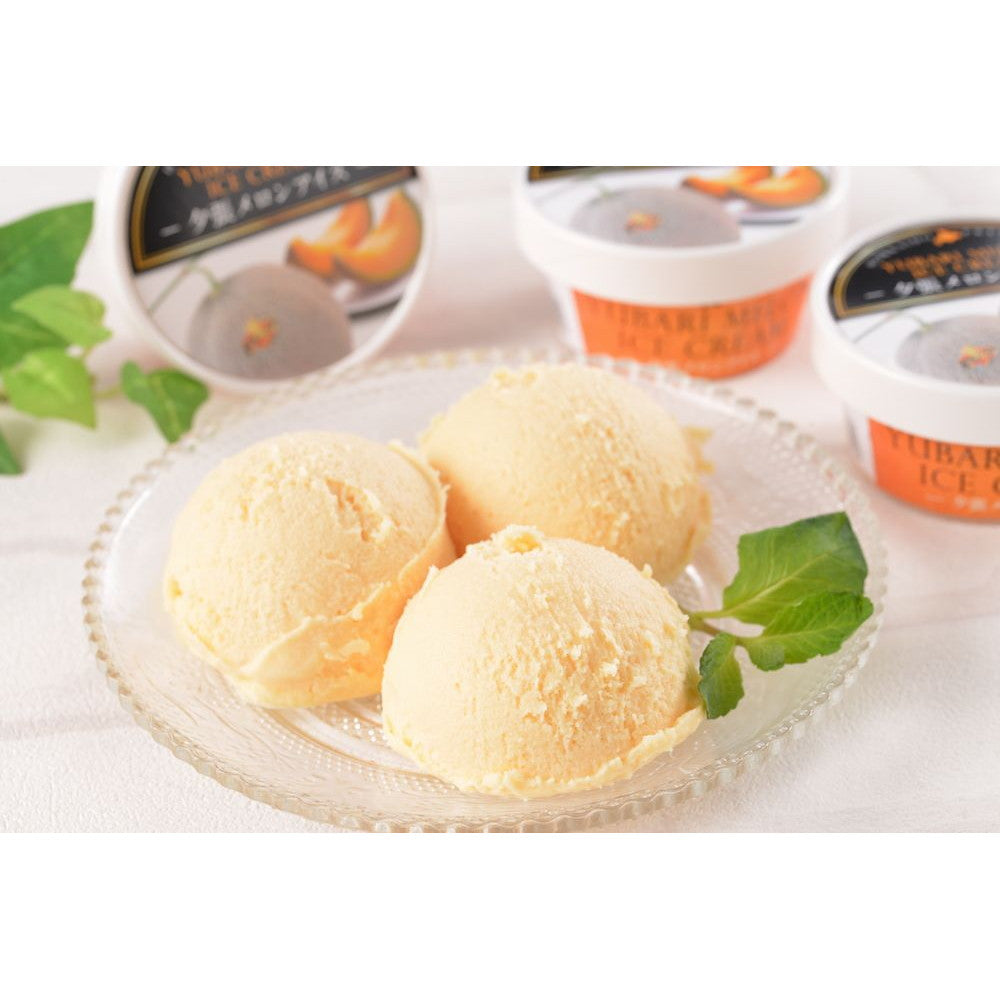 北海道 夕張メロンアイス【9個】