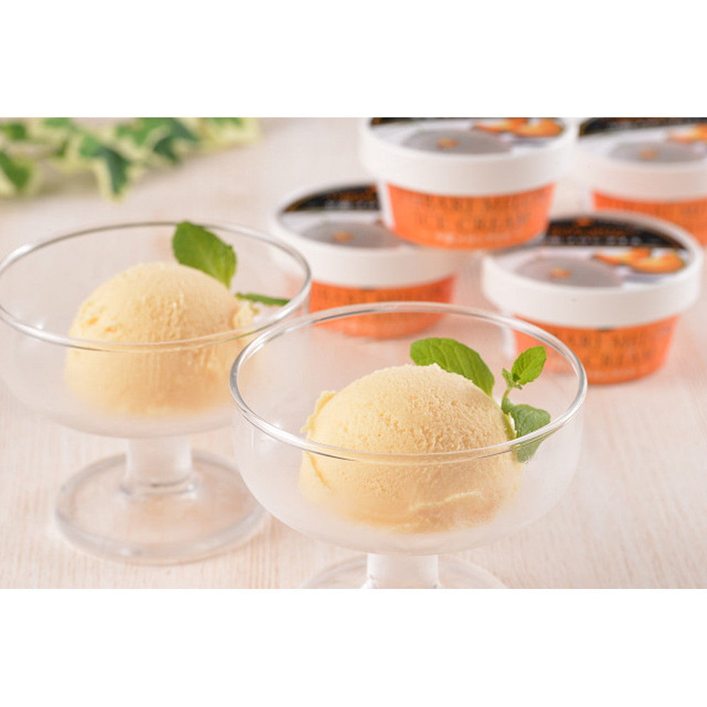 北海道 夕張メロンアイス【17個】