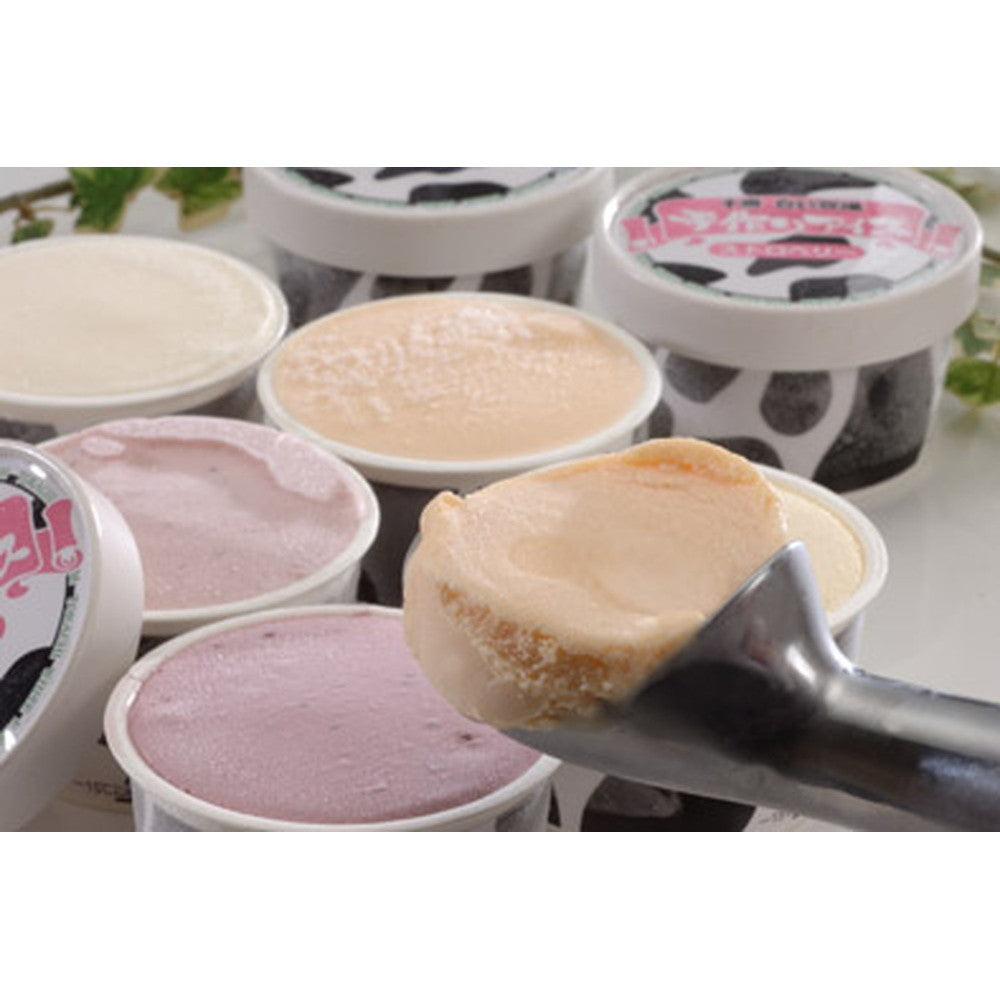 北海道十勝白い牧場アイス10個【5種 x 各2個】