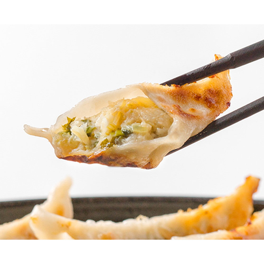 栃木 宇都宮餃子「さつき」セット計45個【さつき・ゆず・野州 x 各15 タレ付】