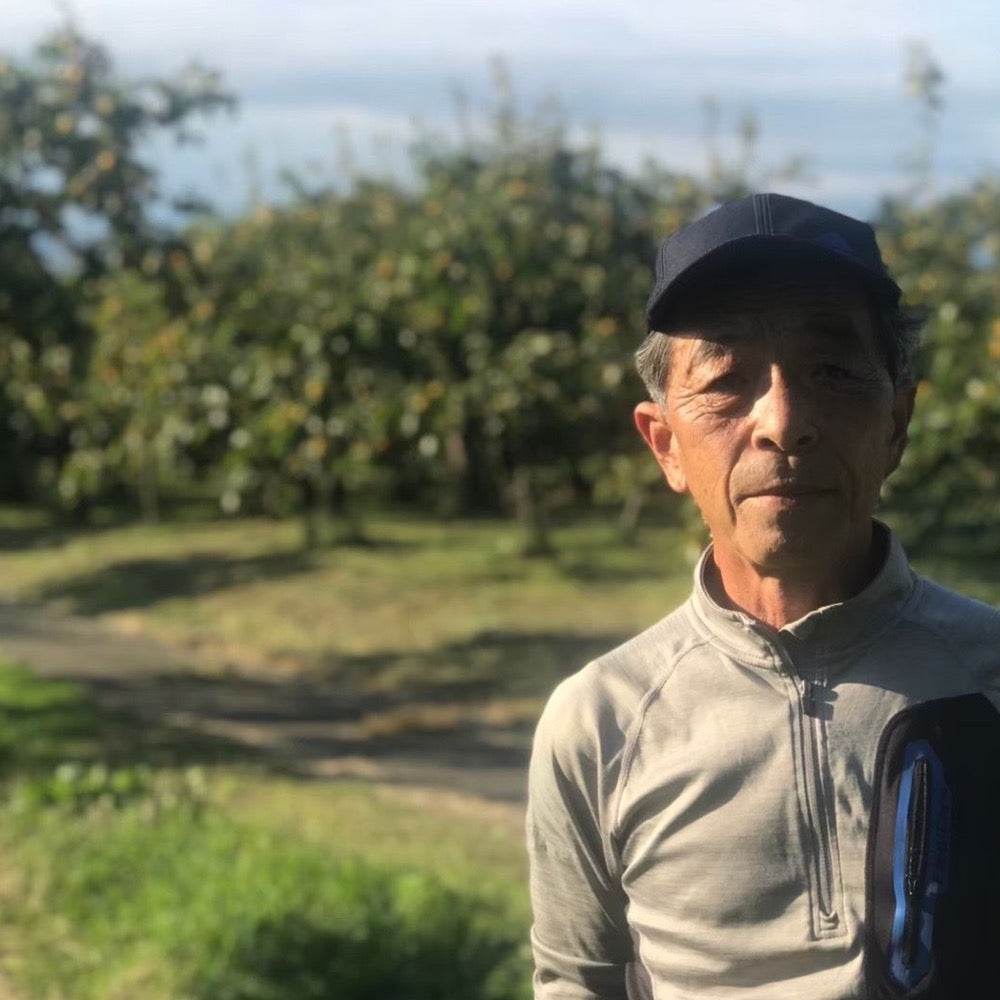 【皇室献上柿】　会津みしらずのあんぽ柿　10個入