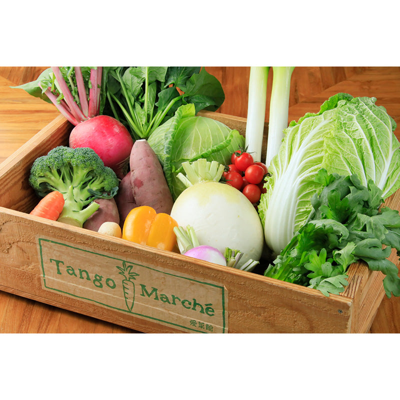 【月数量限定】丹後産 旬の野菜お試しセット 4～5種(1～2人分)