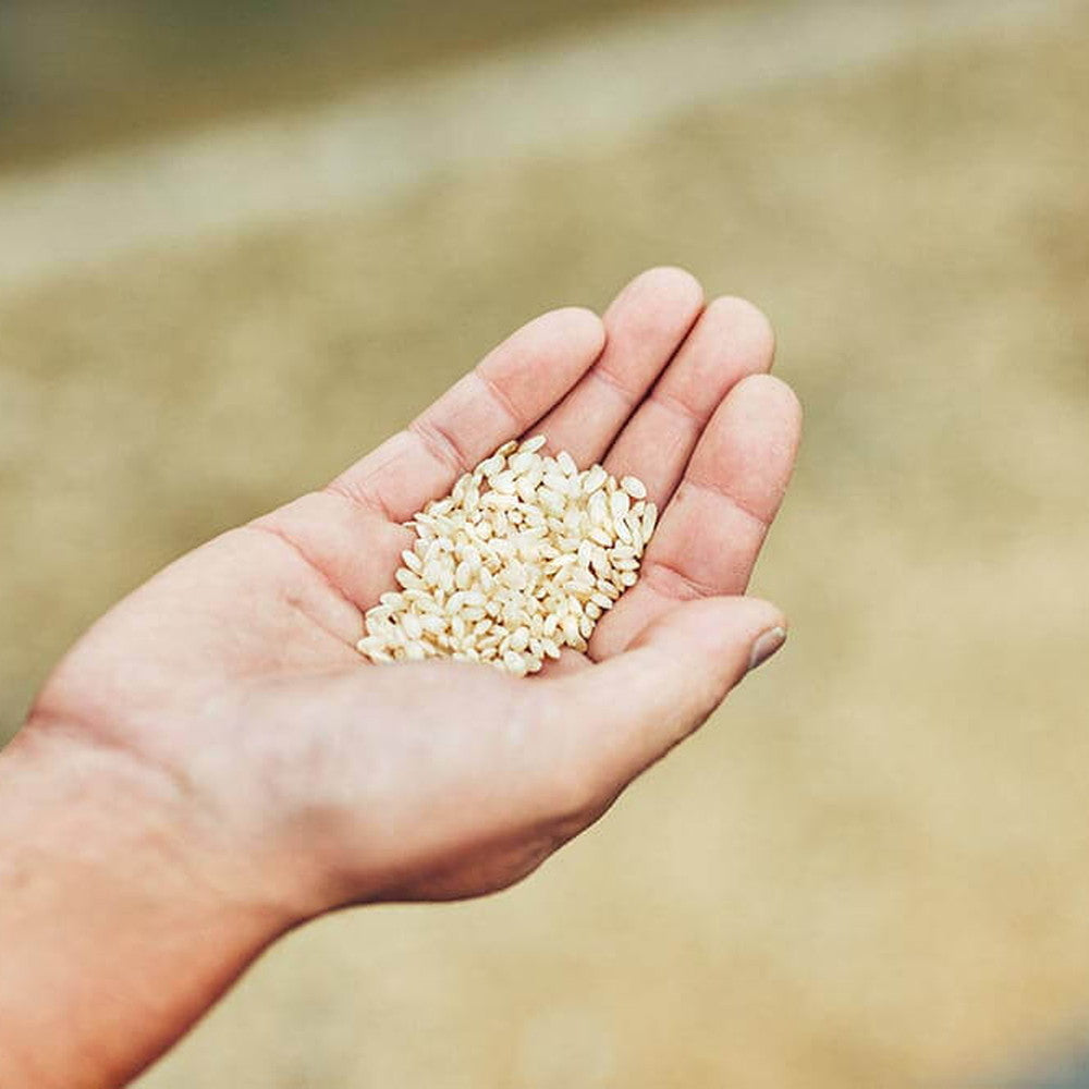 【ギフトカード】玉乃光酒造 純米大吟醸 玉乃光 Black Label 1800ml