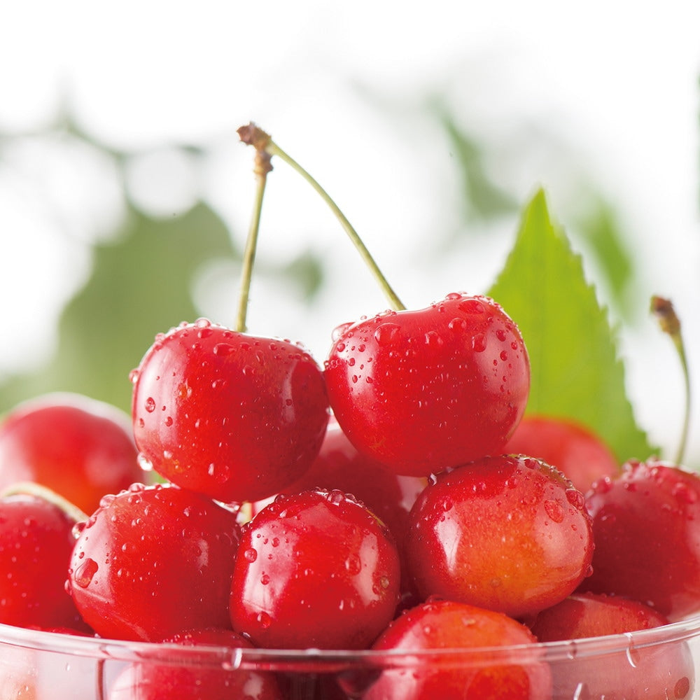 【ギフトカード】AOYAMA COLLECTION（30点以上掲載）