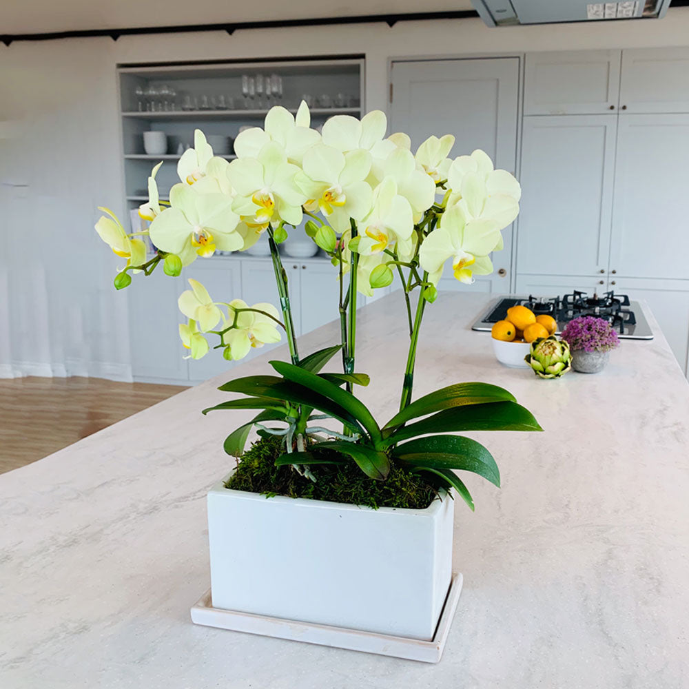 【ギフトカード】AOYAMA COLLECTION （高級ラインナップ50点以上掲載）