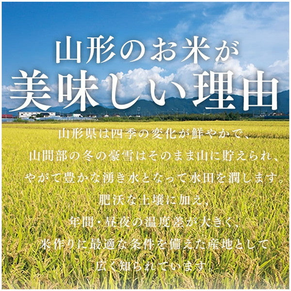 令和６年産 山形県産ひとめぼれ 15kg(5kg×3袋）