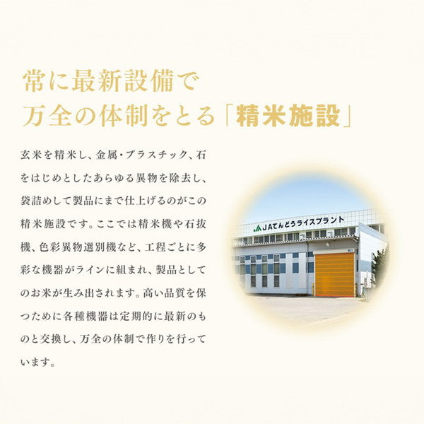 令和６年産 山形県産はえぬき 15kg(5kg×3袋）