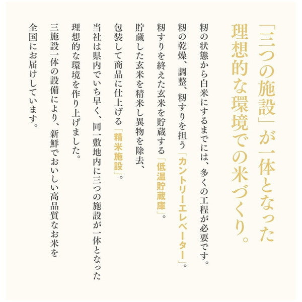 令和６年産 山形県産つや姫 無洗米 10kg(5kg×2袋）