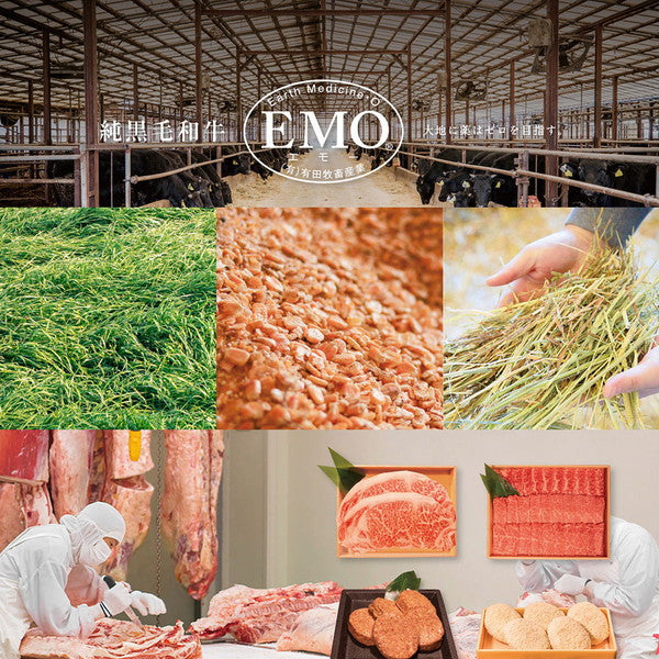 宮崎県産 有田牛 サーロイン＆ヒレステーキ 合計700ｇ