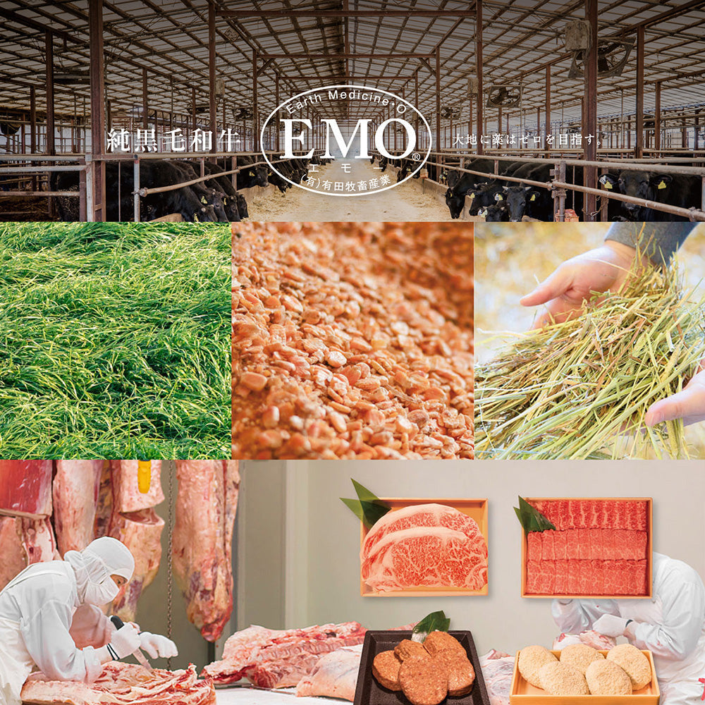 【ギフトカード】宮崎県産　有田牛　サーロインスライス　800g