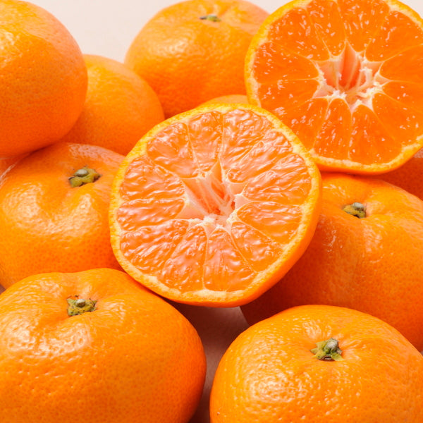 【お歳暮熨斗】愛媛みかん［３ｋｇ］