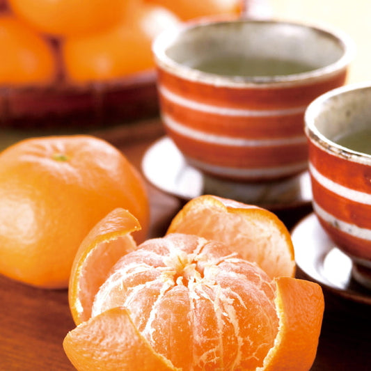 【お歳暮熨斗】山口大島みかん（秀）