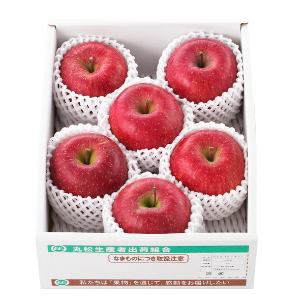 【お歳暮熨斗】いずみ会の山形県産サンふじ［２ｋｇ］