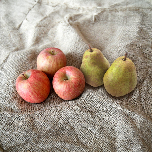 【お歳暮熨斗】サンふじとラ・フランス
