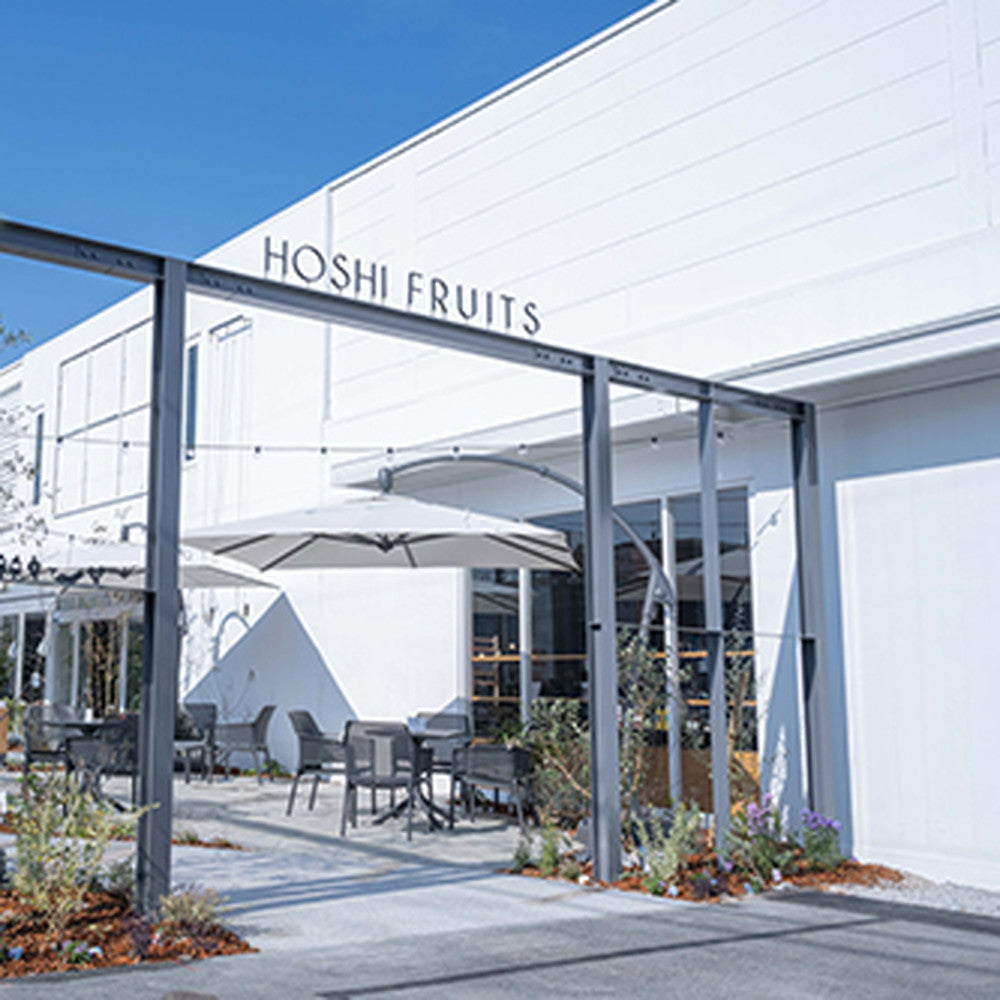 【ギフトカード】ホシフルーツ　贅沢フルーツのタルト