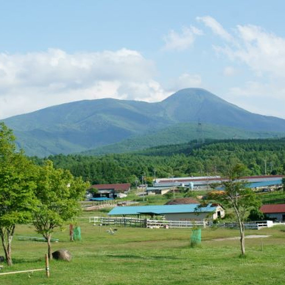 【ギフトカード】長門牧場「カルピス(株)バター」アイスクリーム　ミルク＆バター７個