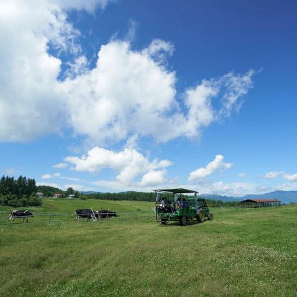 【ギフトカード】長門牧場「カルピス(株)バター」アイスクリーム　ミルク＆バター７個