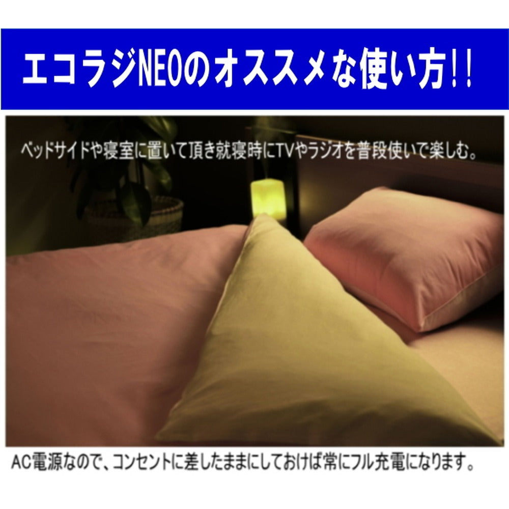 日常使いする多機能防災ポータブルTV＆ラジオ 【エコラジNEO ホワイト】