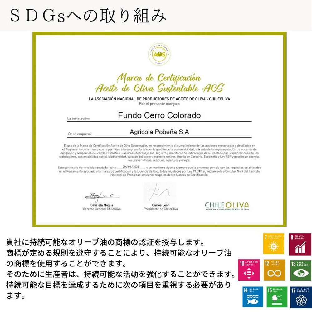 【ギフトカード】【受賞歴多数】ALONSO エクストラヴァージンオリーブオイル 1種(PICUAL)1本