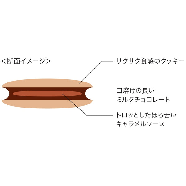 【お歳暮熨斗】「カカオサンパカ」 キャラメルショコラング