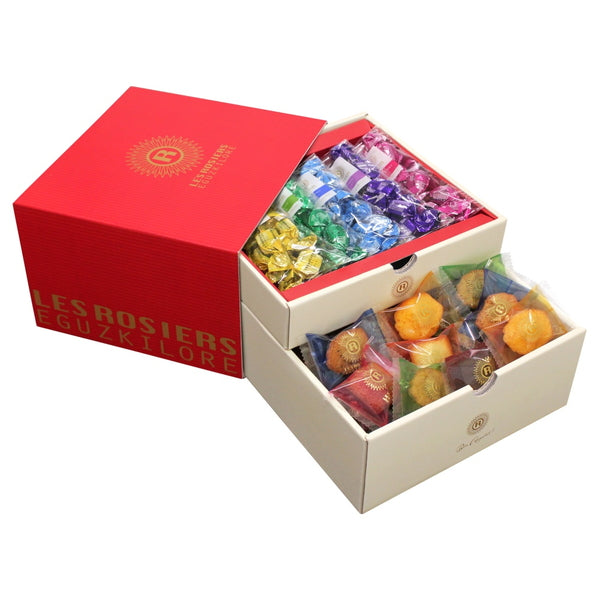 【お歳暮熨斗】東京 「銀座京橋 レ ロジェ エギュスキロール」 銀座プチガトー＆ショコラ