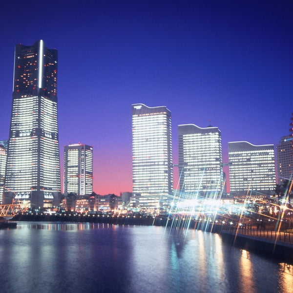 「横浜ロイヤルパークホテル」 監修 野菜入りビーフカレー(35食)