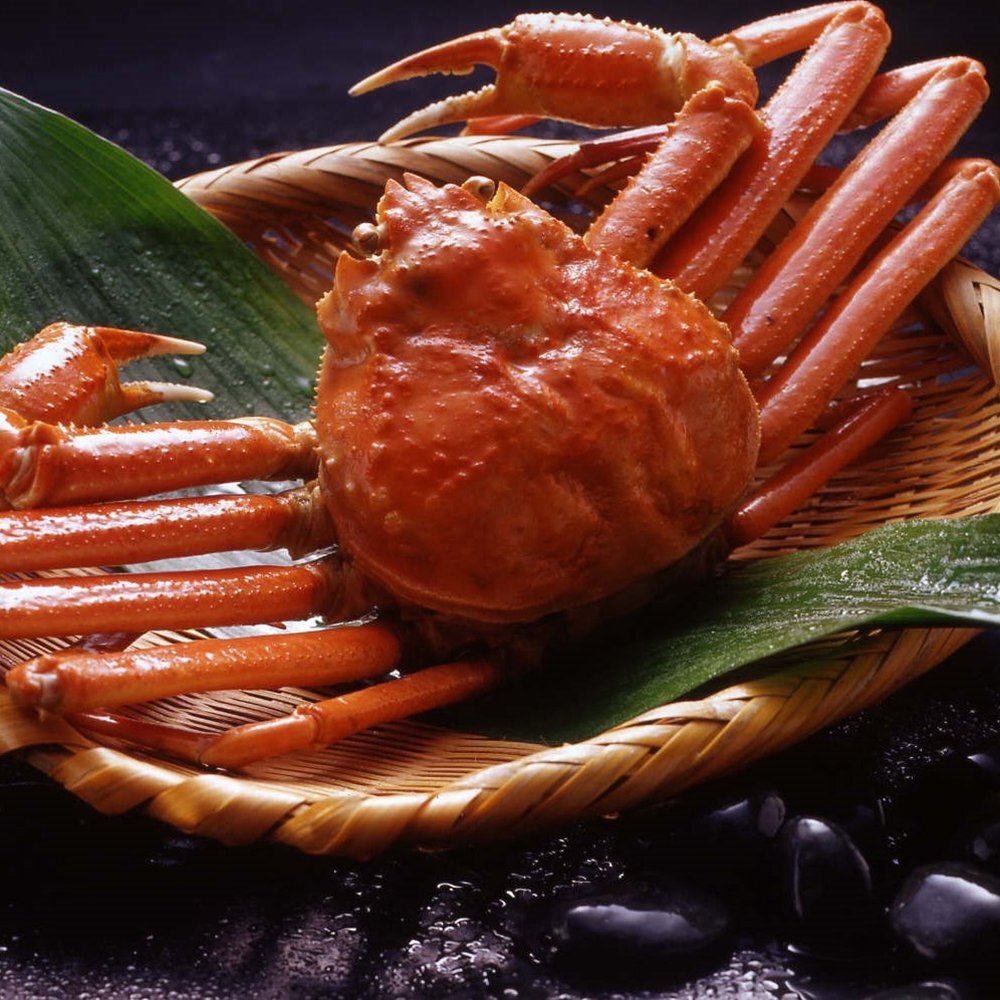 【ギフトカード】ボイルズワイガニ姿(600g1尾)