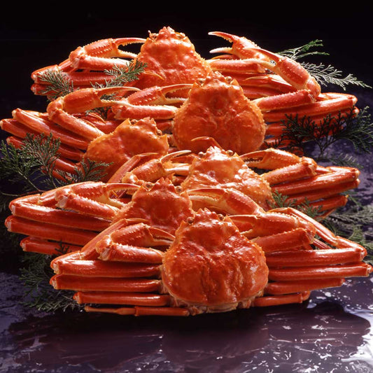 【ギフトカード】ボイルずわいがに姿 500g×6杯