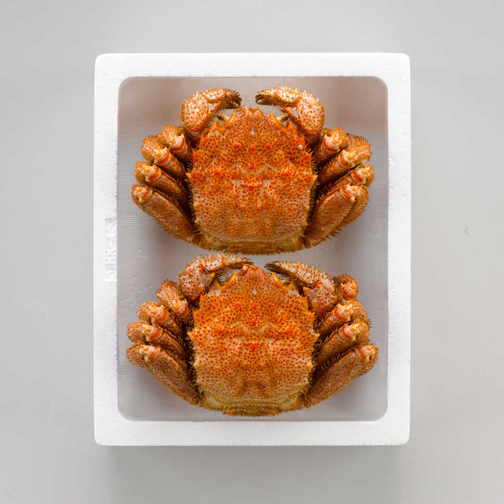 【ギフトカード】北海道産 ボイル毛がに姿 500g×2杯