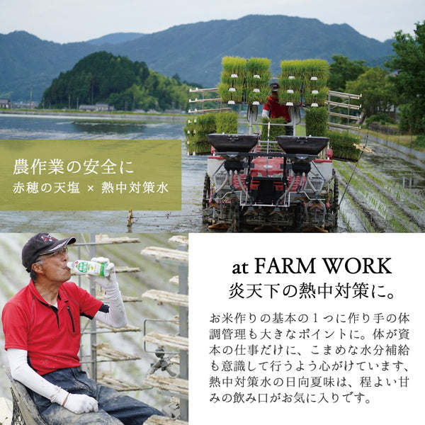 赤穂化成 熱中対策水レモン味 500ml【48本(2ケース)】