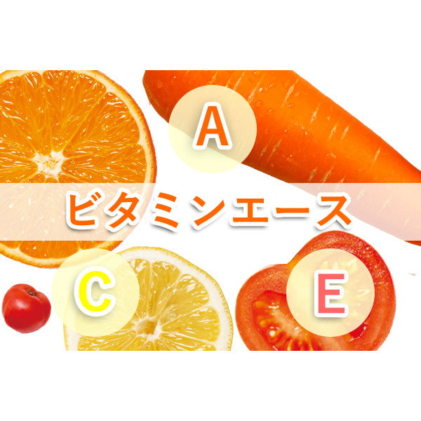 伊藤園 自然派ビタミン野菜ジュース 缶【40本(2ケース)】