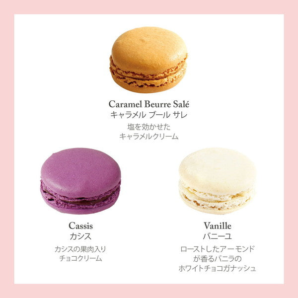 セバスチャン・ブイエ　マカロン6個
