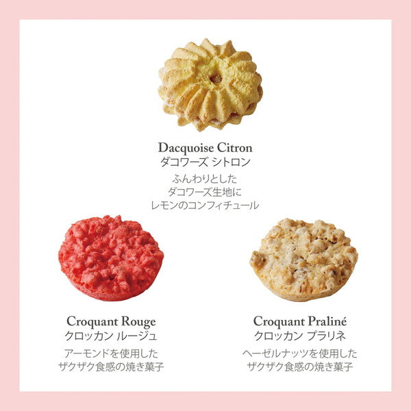 セバスチャン・ブイエ　アソートバリエS