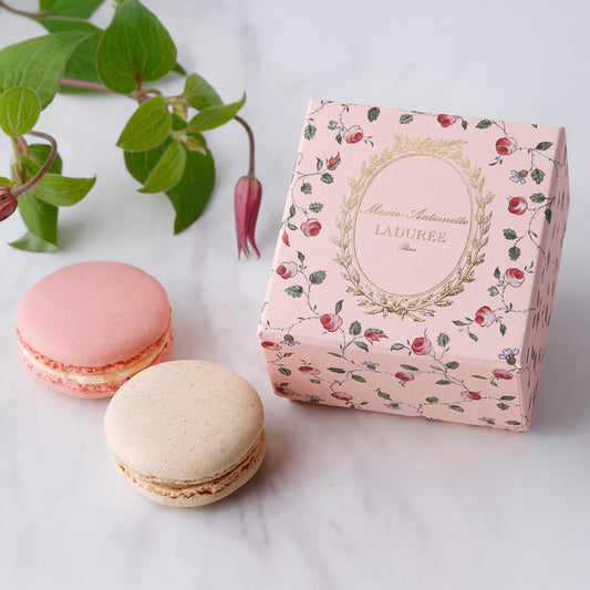 【ギフトカード】LADUREE（ラデュレ）マリー・アントワネット