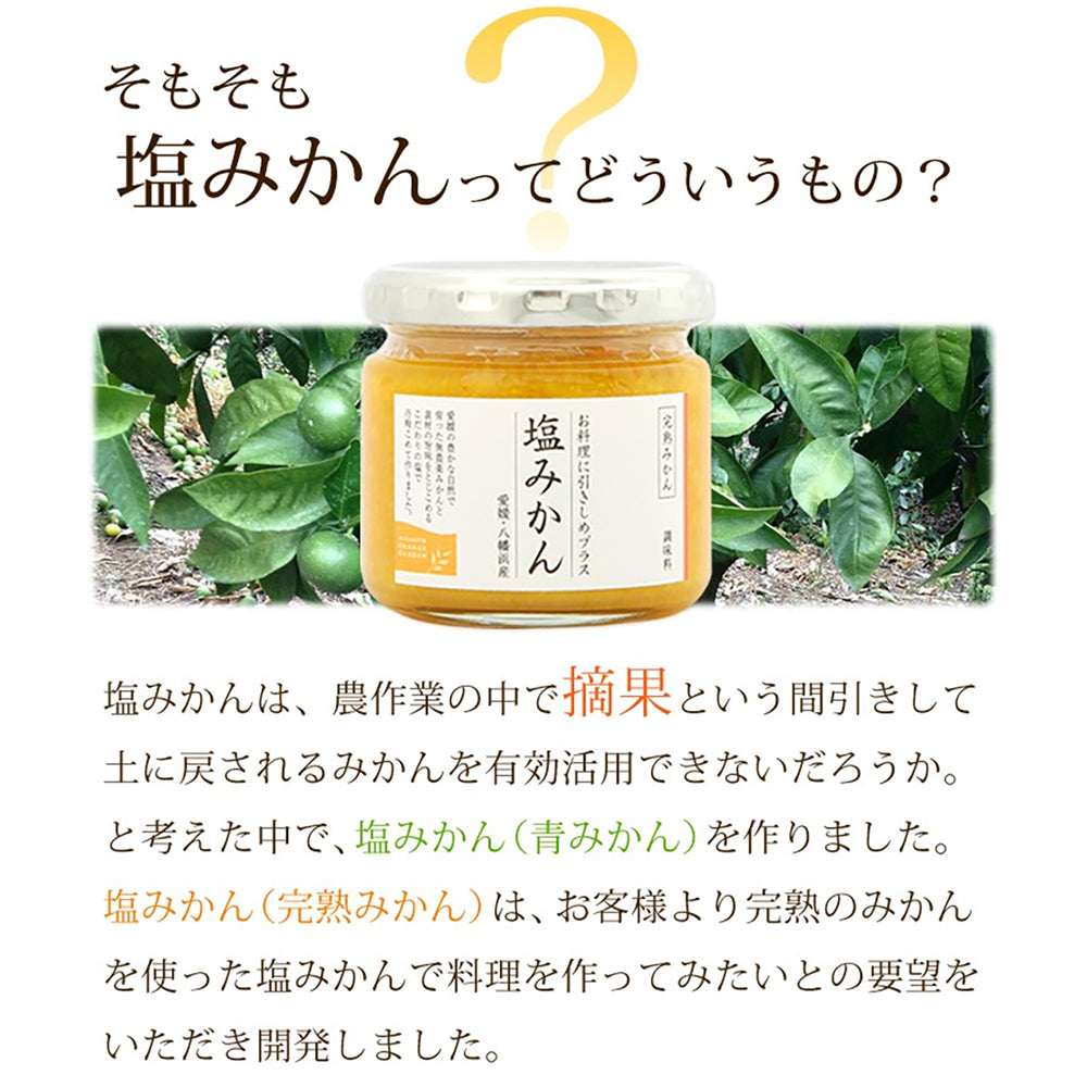 「ミヤモトオレンジガーデン」塩みかんドレッシング・塩みかんギフトセット【4種詰め合わせ】