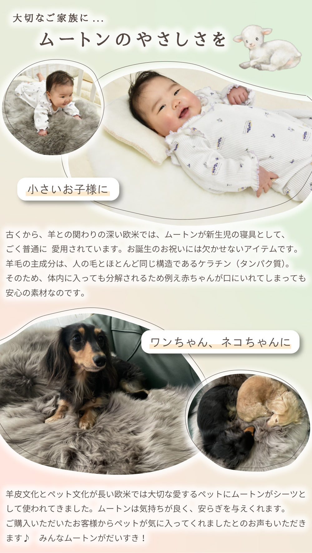 洗える 長毛 ムートンラグ 2匹サイズ アイボリー