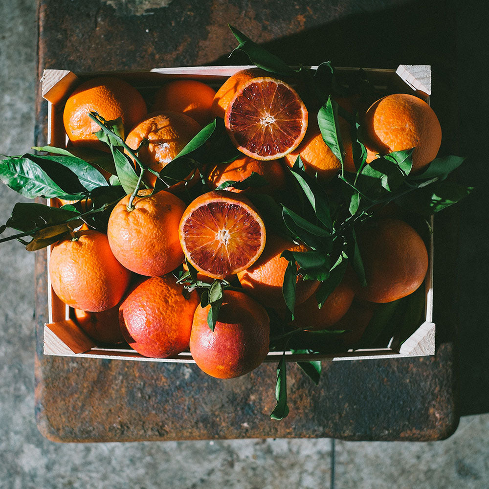 「日本盛」しっとりセラミド1袋62粒【1袋】