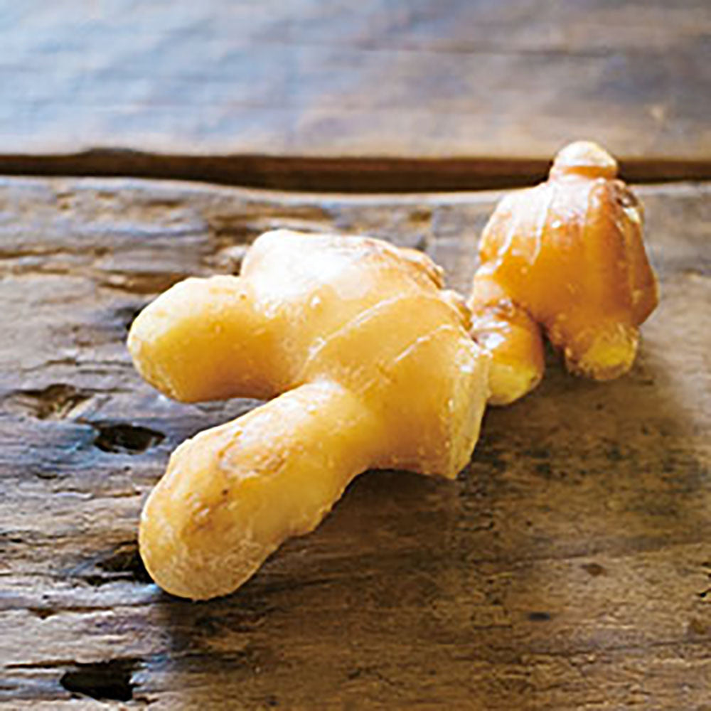 「日本盛」しっとりセラミド1袋62粒【3袋】