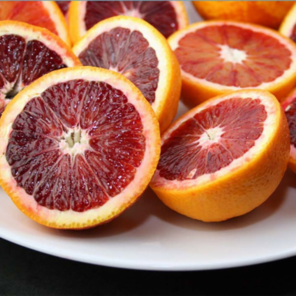 「日本盛」しっとりセラミド1袋62粒【3袋】