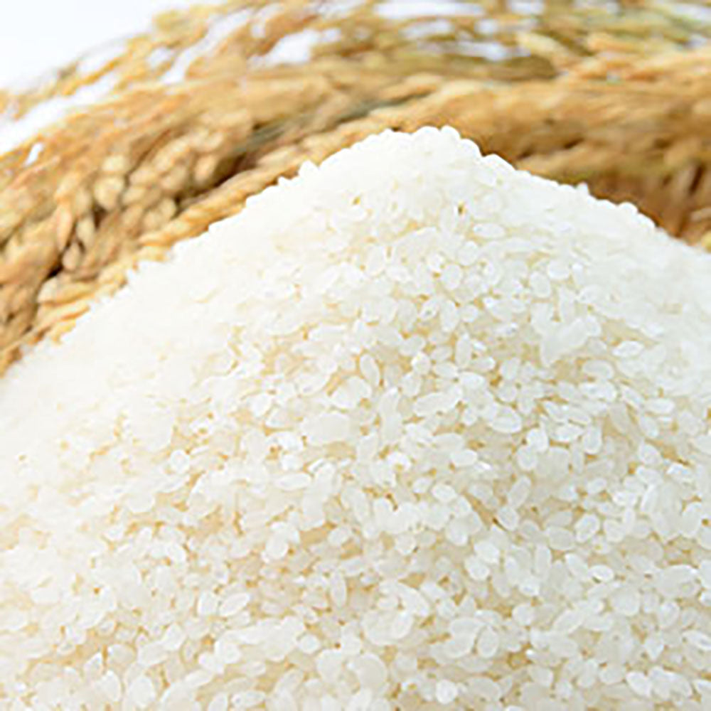 「日本盛」しっとりセラミド1袋62粒【3袋】