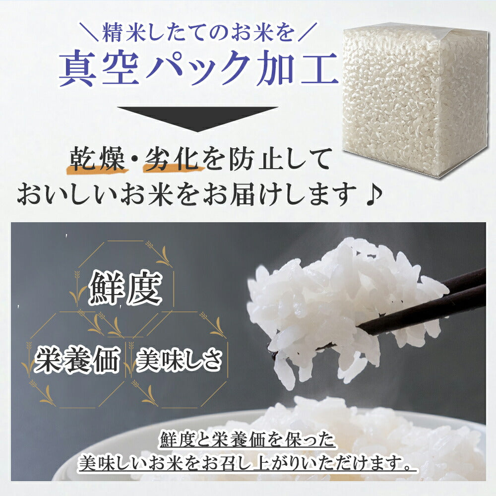 五つ星マイスター厳選・新潟こしひかり・天然塩味わいギフトセット（15合・天然塩セット）