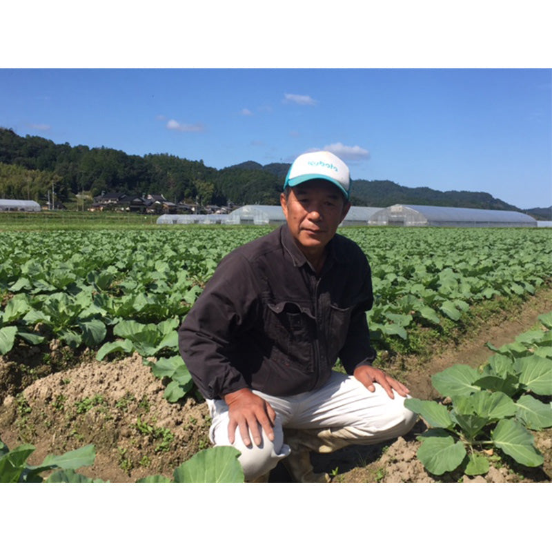 丹後産　旬の野菜たっぷりセット【野菜5～8種入】