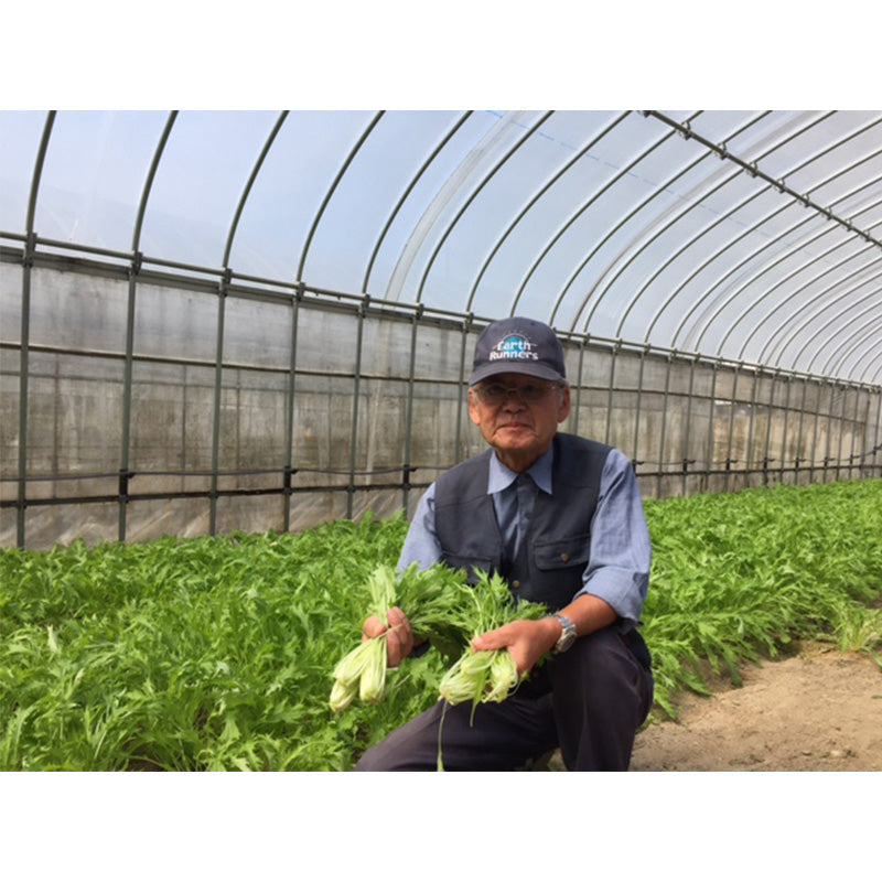 丹後産　旬の野菜たっぷりセット【野菜5～8種入】
