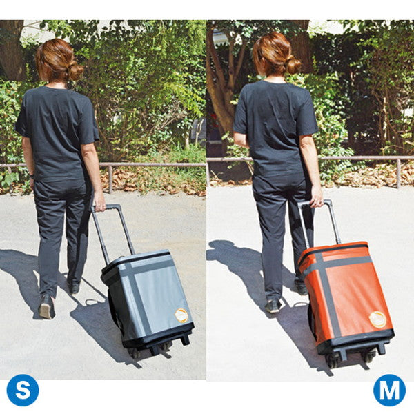 EX.48 防災バッグTANAKA 防災士ブラザーズモデル Mベーシック(2人用)シルバーグレー