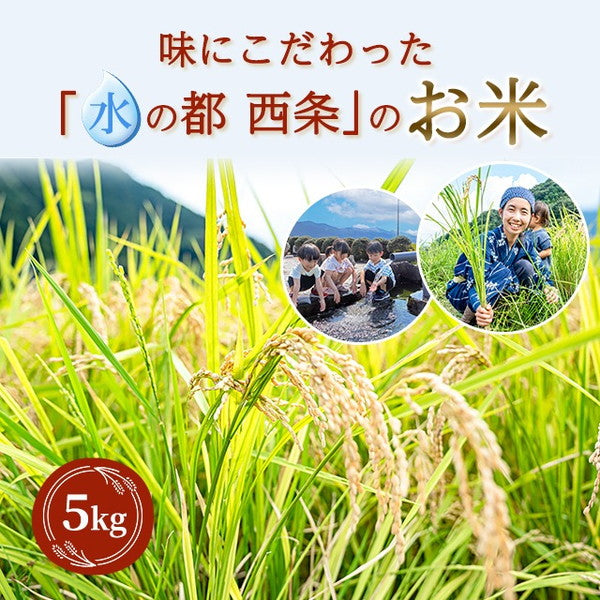 愛媛県西条市産ひめの凜20kg（5kg×4袋）