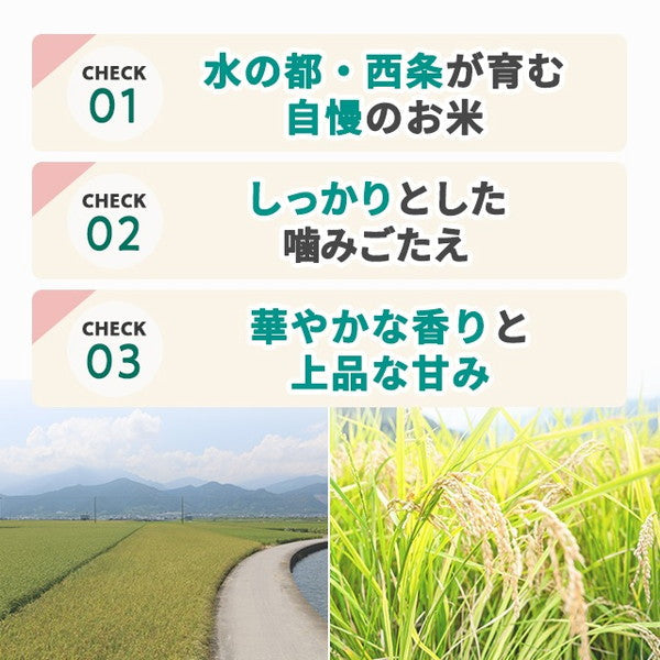 愛媛県西条市産ひめの凜30kg（5kg×6袋）