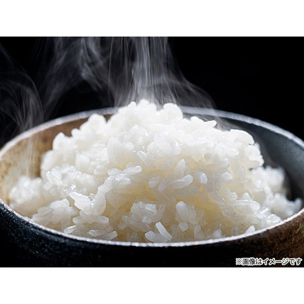愛媛県西条市産ひめの凜30kg（5kg×6袋）