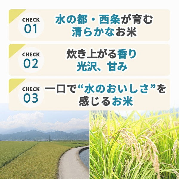 愛媛県西条市産水の都米20kg（5kg×4袋）