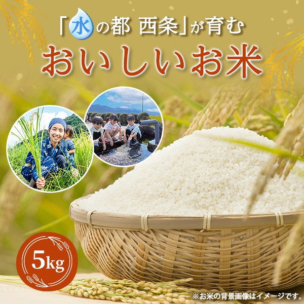 愛媛県西条市産水の都米30kg（5kg×6袋）