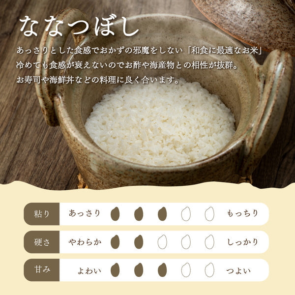 北海道産ななつぼし 2kg×5袋（合計10kg）